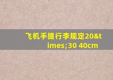 飞机手提行李规定20×30 40cm